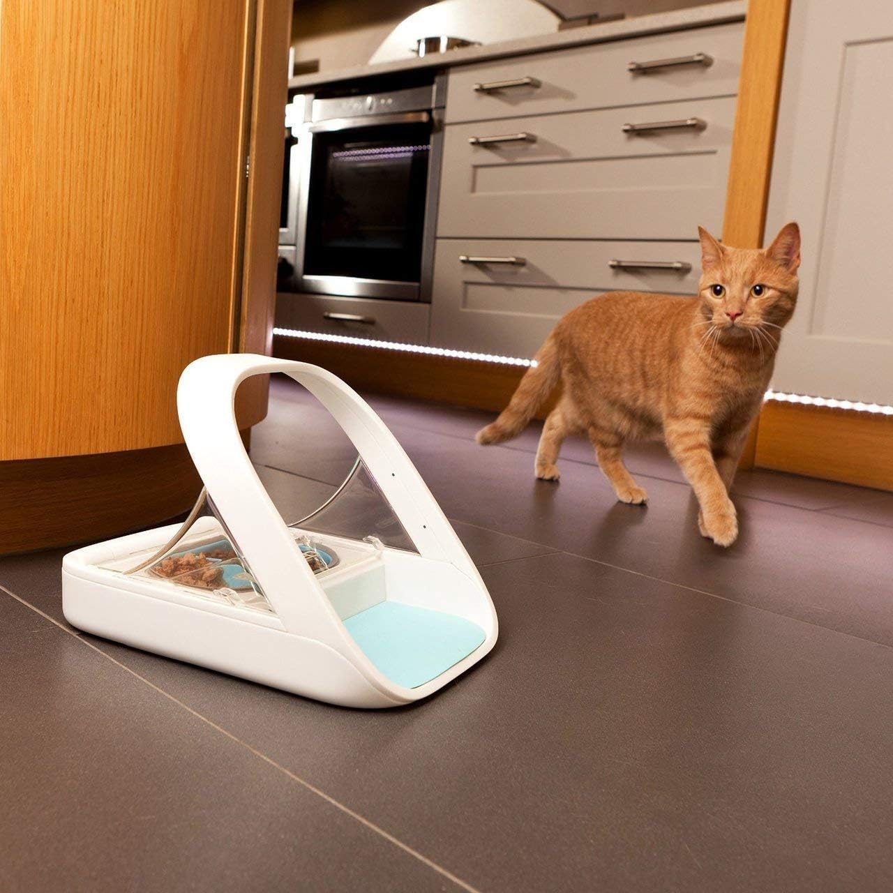 Automatic Pet Feeder -Microchip Pet Feeder