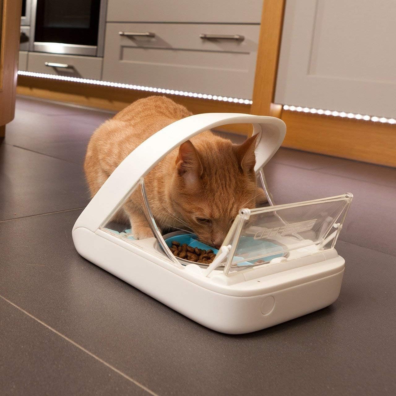 Automatic Pet Feeder -Microchip Pet Feeder